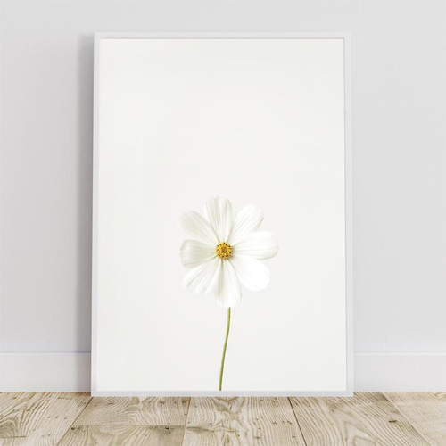 美品 ナターレ・アダミアーノ「白い花畑」リトグラフ 直筆サイン入り お洒落な額装 美品 ナターレ・アダミアーノ「白い花畑」リトグラフ 直筆サイン