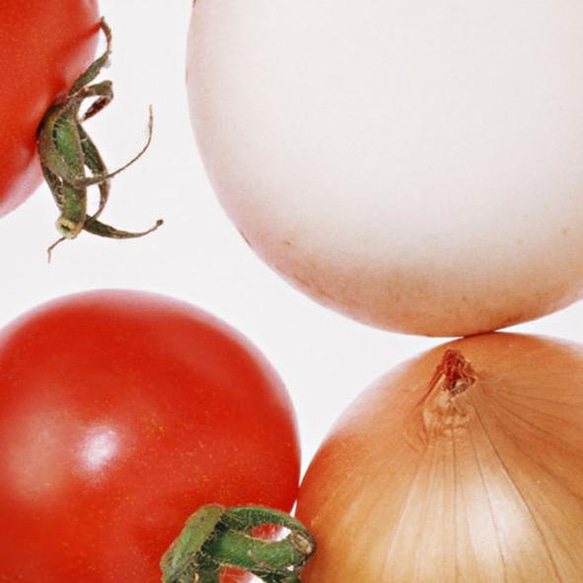 野菜のポスター / アートポスター カラー 縦長 ミニマル ベジタブル 野菜 トマト キャベツ 玉ねぎ 豆 4枚目の画像