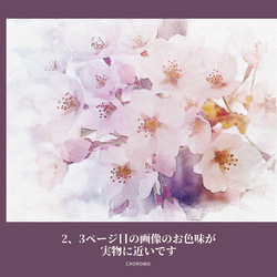 桜 水彩画風 ポストカード ５枚組 2枚目の画像