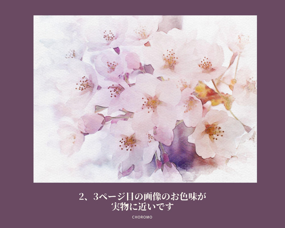桜 水彩画風 ポストカード ５枚組 2枚目の画像