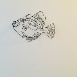 ワイヤーアート　ワイヤークラフト  魚　さかな　マルハギ【受注制作】 12枚目の画像