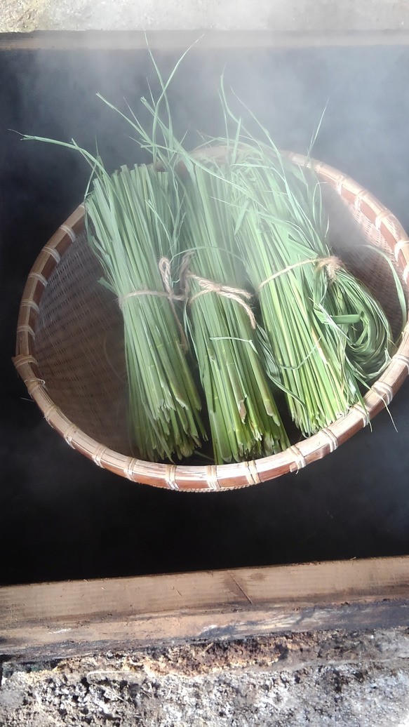 【はな様オーダー品】【マコモ茶】火山蒸気蒸し&薪火焙煎　若葉茶＆Deep 宮崎県産無農薬∞10g入 2枚目の画像