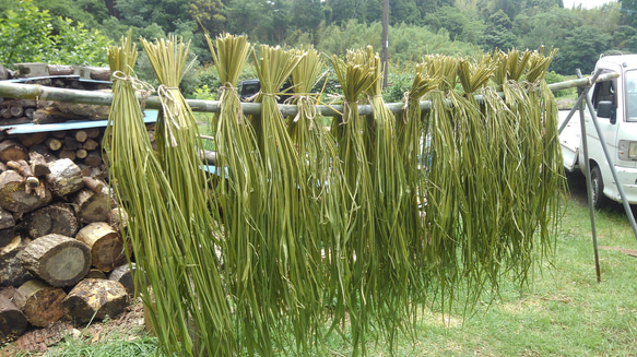 【はな様オーダー品】【マコモ茶】火山蒸気蒸し&薪火焙煎　若葉茶＆Deep 宮崎県産無農薬∞10g入 3枚目の画像