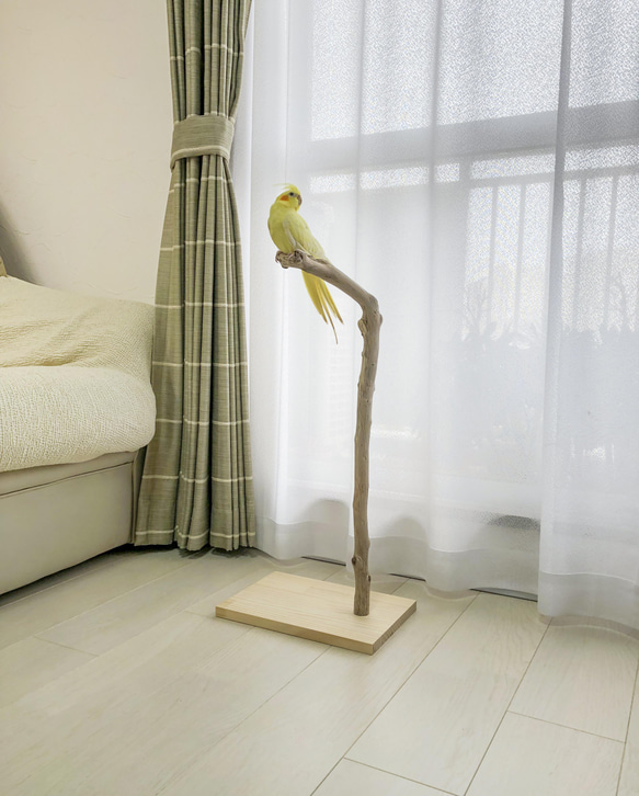 【流木止まり木】鳥 インコ 軽くて持ち運びカンタン！程よい高さもある止まり木！ 9枚目の画像