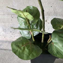 光触媒　人工観葉植物　ウォールグリーン　フェイク　フラワー　シーグレープ特大 8枚目の画像