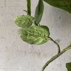 光触媒　人工観葉植物　ウォールグリーン　フェイク　フラワー　シーグレープ特大 7枚目の画像