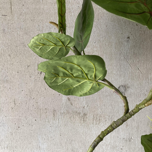 光触媒　人工観葉植物　ウォールグリーン　フェイク　フラワー　シーグレープ特大 光触媒 人工観葉植物 ウォールグリーン フェイク フラワー シー