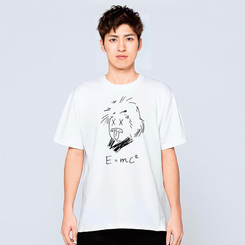 ［超希少］2010年 相対性理論 「立式II」 Tシャツ Lサイズ アインシュタイン 相対性理論 Tシャツ メンズ レディース キッズ 子供