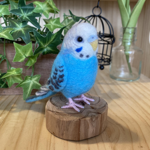 ゆきよもりん　パネル　女の子　インコ柄 セキセイインコ♂あおいちゃん ちょっとツクツクになっている