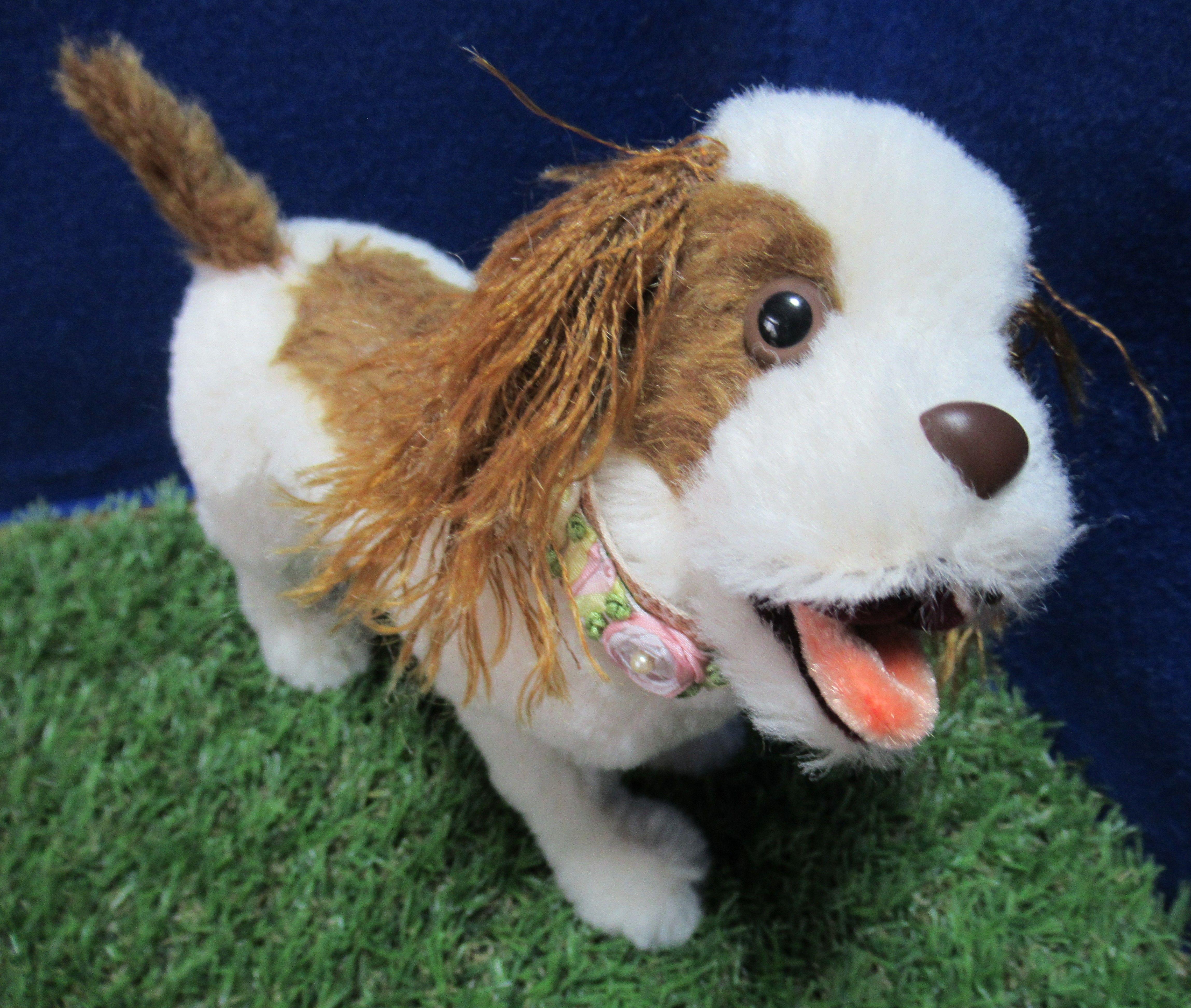 きなワンAKEMI.ORIGINAL