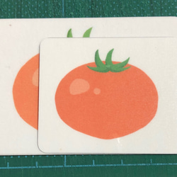 知育カード　5種おまとめお得セット(組み合わせ変更可能) 11枚目の画像