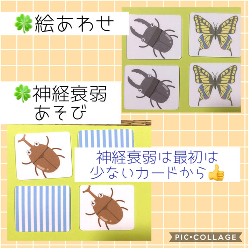 知育カード 5種おまとめお得セット(組み合わせ変更可能