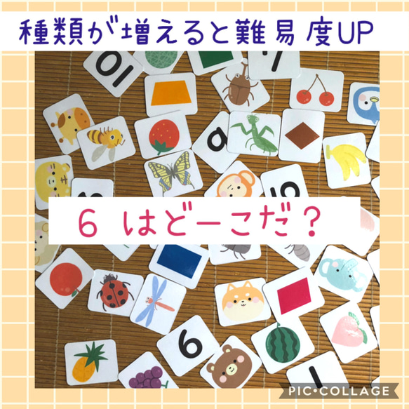 知育カード　5種おまとめお得セット(組み合わせ変更可能) 9枚目の画像