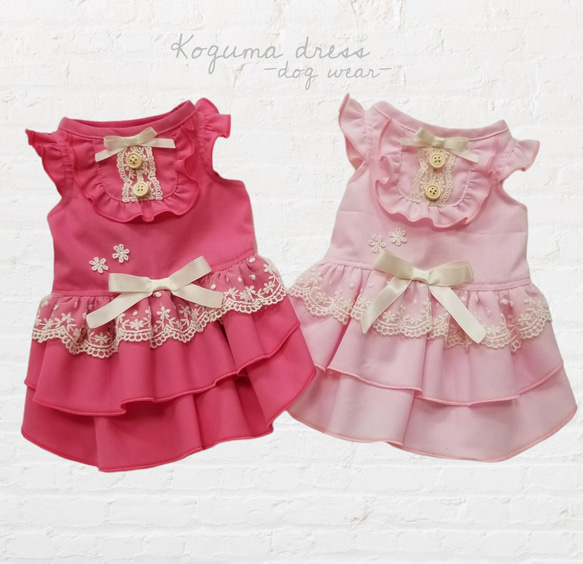 【Grace ワンピースドレス❁﻿.】犬服  Koguma-dress 1枚目の画像