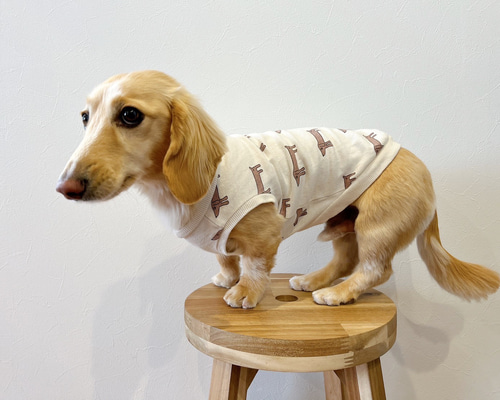 【花】犬服タンクトップ 楽天市場】(在庫処分SALEの為返品交換不可)浮き輪ダックス