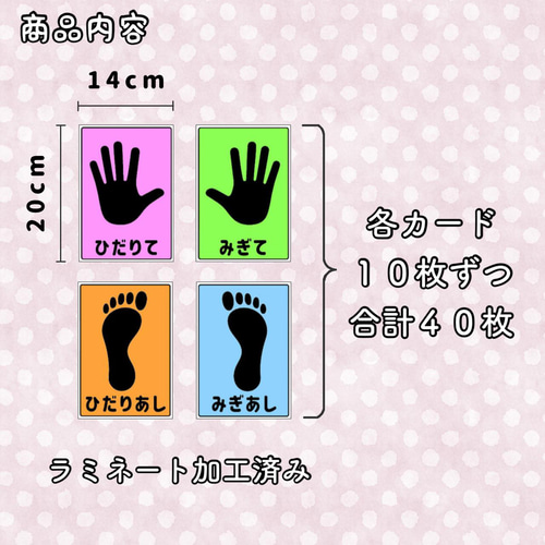 手足けんけんぱカード 40枚セット 運動学習 知育玩具 保育教材