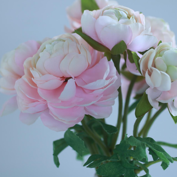 ❤︎贈り物にも❤︎ラナンキュラス花瓶挿し（水換え不要•枯れない）pink 5枚目の画像
