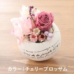 エッグカップ キット Egg cup kit【手作りキット】 17枚目の画像