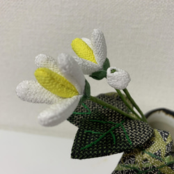 どくだみの花 2枚目の画像