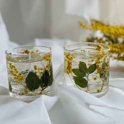 ボタニカル ジェルキャンドル （ミモザのジェルキャンドル  