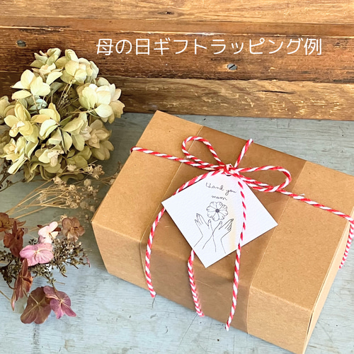 本革の小物入れ箱【KOBACO】グリーン・ギフト＊イタリアンレザーででき