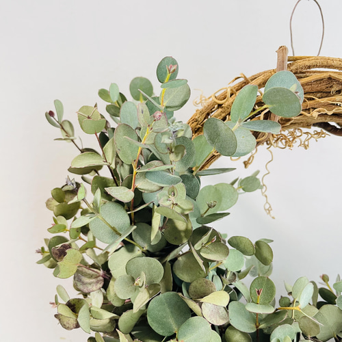 匿名配送】☆リボン選べる♪ フレッシュ生花 ユーカリ ハーフリース