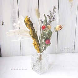 ミモザ ドライフラワー のおすすめ人気通販｜Creema(クリーマ) 国内