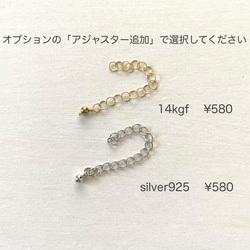 【特集掲載】スターコインチャームネックレス＊選べる14kgfチェーン ・silver925チェーン＊40cm、50cm 8枚目の画像