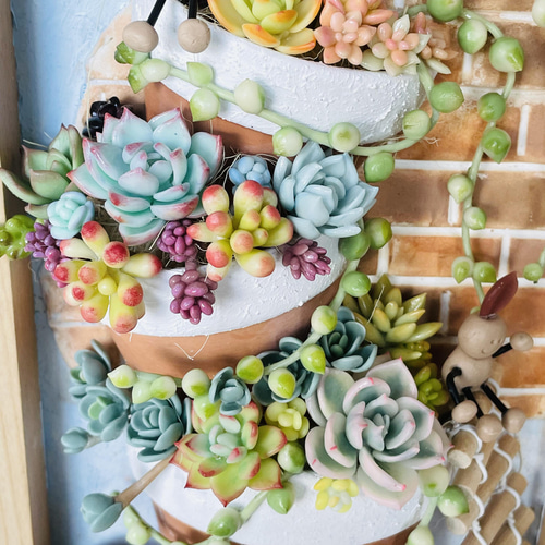 割れ鉢アート材料 多肉植物まとめ売り