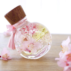 桜のハーバリウム（ネコ瓶） 4枚目の画像