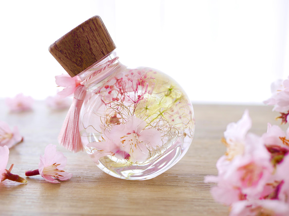 桜のハーバリウム（ネコ瓶） 4枚目の画像
