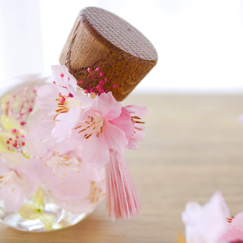 桜のハーバリウム（ネコ瓶） ハーバリウム・植物標本 Floria Flower