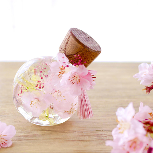 桜のハーバリウム（ネコ瓶） ハーバリウム・植物標本 Floria