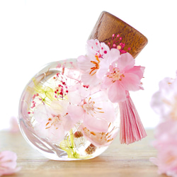 f335dd8592972efd9862e112d9c5a5