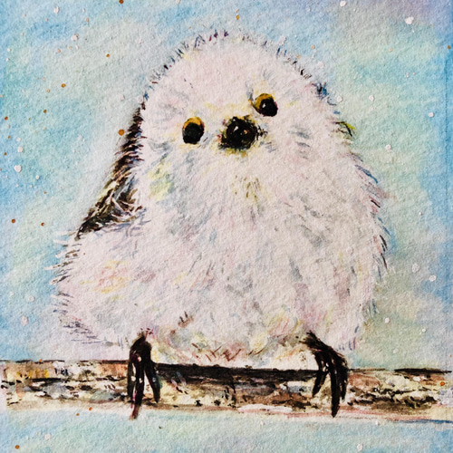 原画　　　シマエナガ 原画　　　シマエナガ