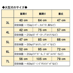  第18張的照片