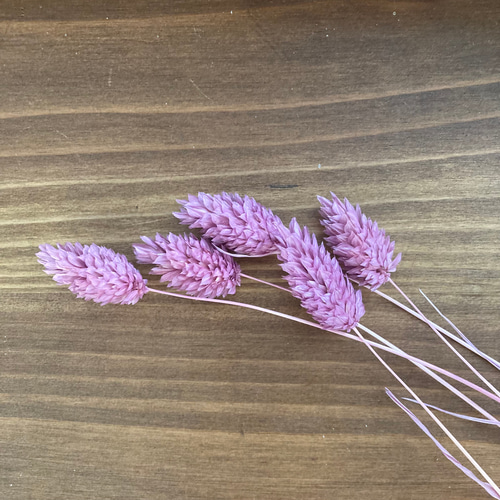 くすみピンクバラのアレンジメント プリザーブドフラワー ドライ