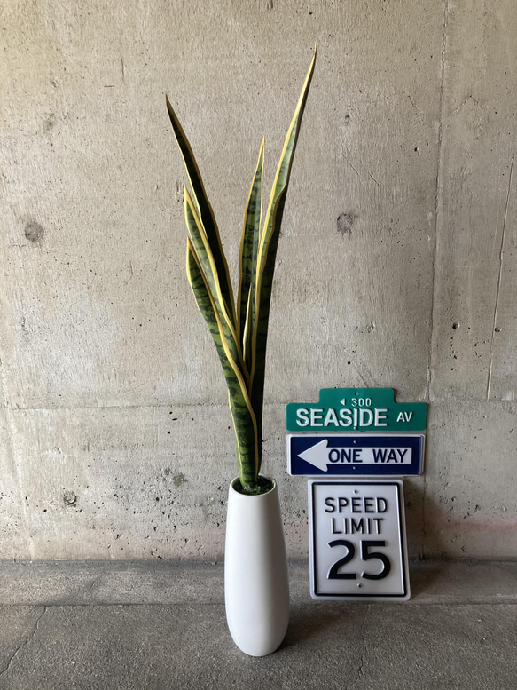 光触媒 人工観葉植物 ウォールグリーン フェイクグリーン サンスベリア