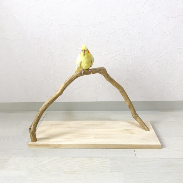 流木の止まり木】鳥、インコ、アーチ型の可愛いフォルムの止まり木
