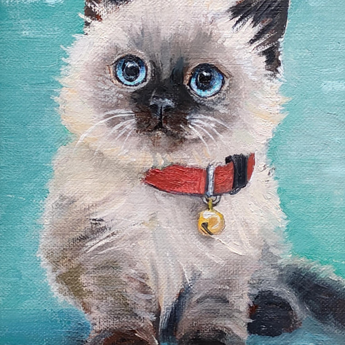 ヒマラヤンの仔猫 絵画 チェリー Cherry 通販 13668521｜Creema(クリーマ)