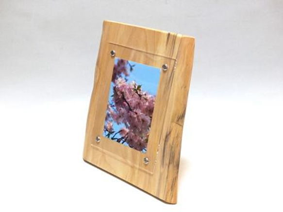天然無垢板のフォトフレーム　シナの天然木No.12　L-52 1枚目の画像