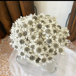 スターフラワーブロッサムアレンジ加工30輪販売❣️ハンドメイド花材カラードライフラワー 2枚目の画像