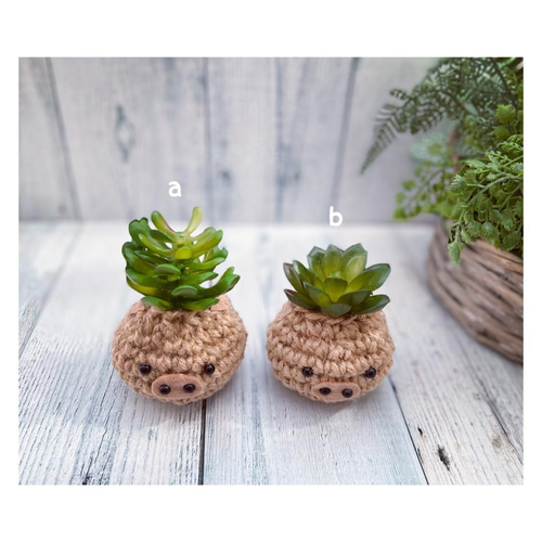 ꫛꫀꪝ麻紐ぶたさん(a or b)あみぐるみ❁多肉植物 フェイクグリーン 