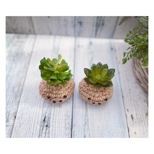 ꫛꫀꪝ麻紐ぶたさん(a or b)あみぐるみ❁多肉植物 フェイクグリーン 