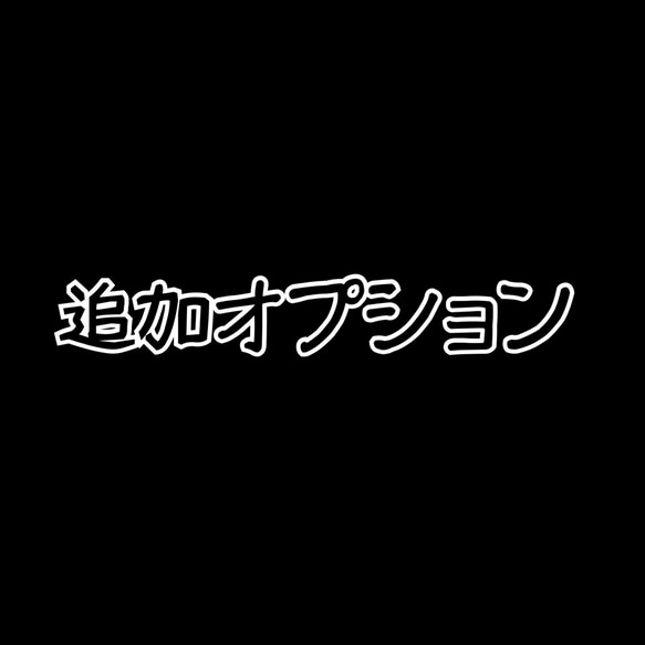 追加専用オプション 600円 1枚目の画像