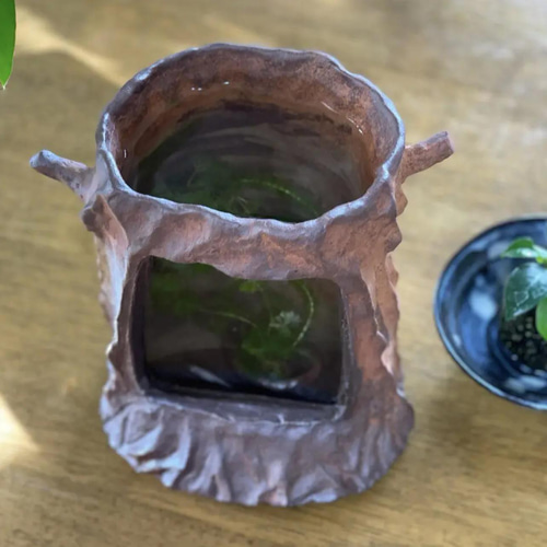 切り株の中で涼しげに泳ぐ姿に癒される可愛い炭化焼き陶器のガラス付き