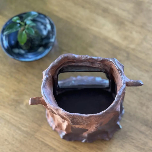 切り株の中で涼しげに泳ぐ姿に癒される可愛い炭化焼き陶器のガラス付き