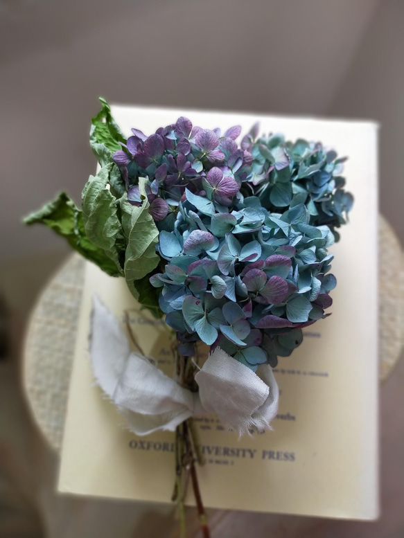 紫陽花ドライフラワー J5 120サイズ 作家様向け 秋色紫陽花 紫陽花ドライフラワー J5 120サイズ 作家様向け 秋色紫陽花