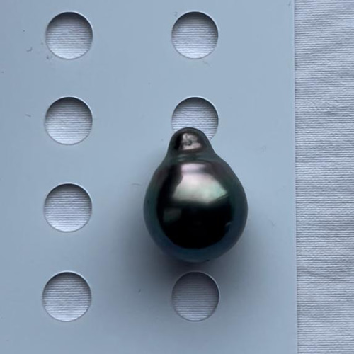 タヒチ（黒蝶貝）ルース　無穴　9ミリ タヒチ（黒蝶貝）ルース 無穴 9ミリ タヒチ（黒蝶貝）ルース 無