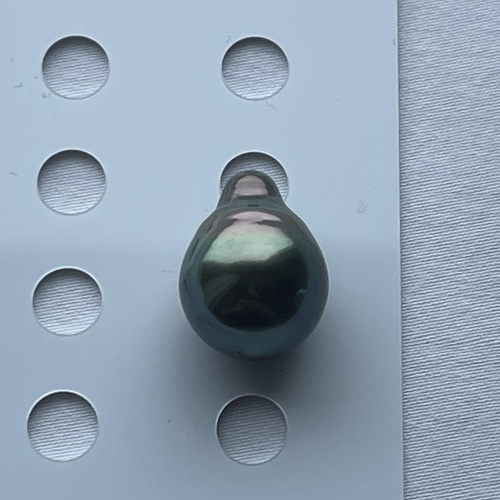 タヒチ（黒蝶貝）ルース 無穴 9ミリ 楽天市場】タヒチ黒蝶真珠パール